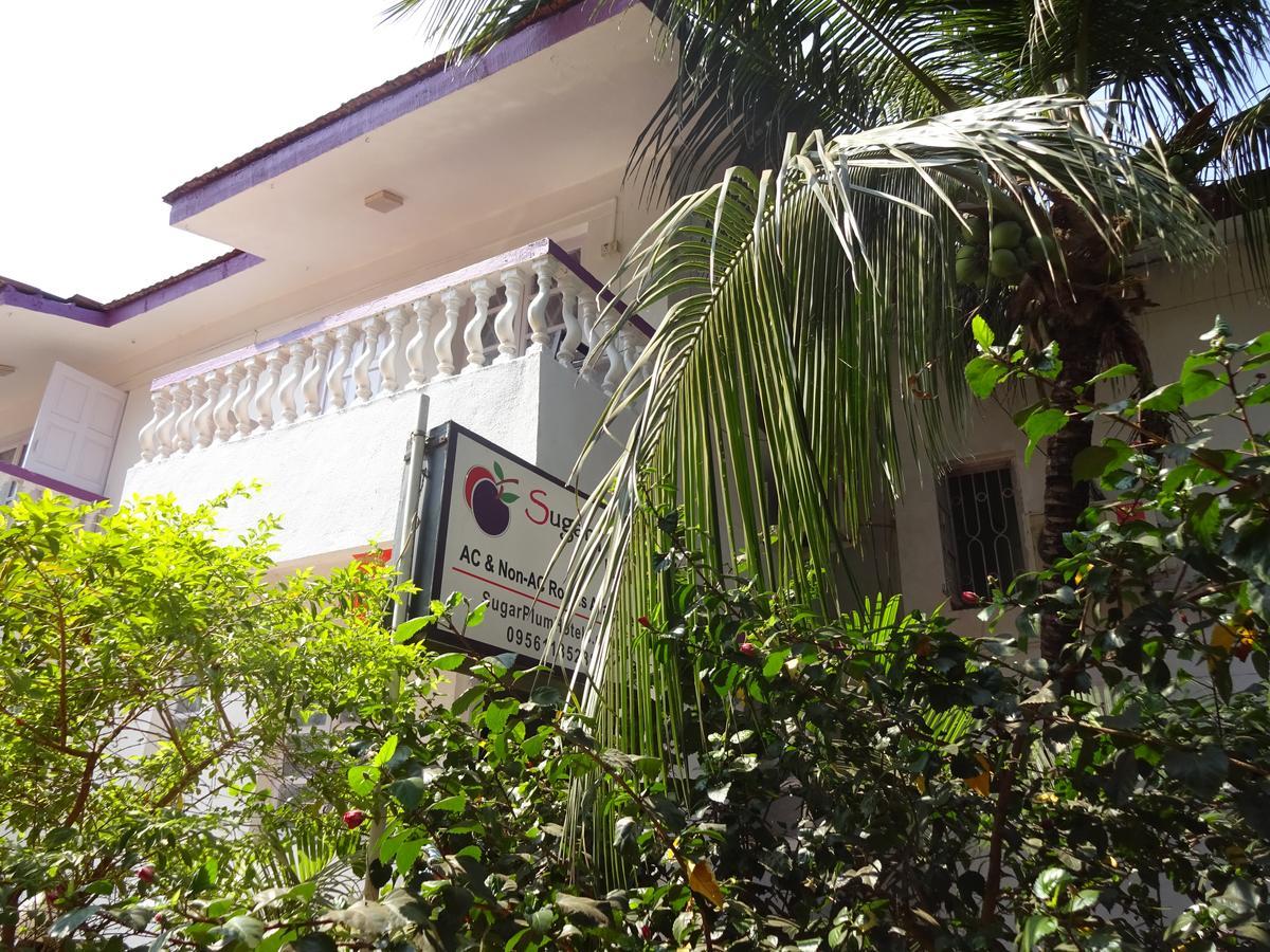 Bed and Breakfast Sugar Plum Macedo Palms Baga Zewnętrze zdjęcie